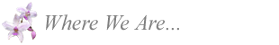 Where We Are...
